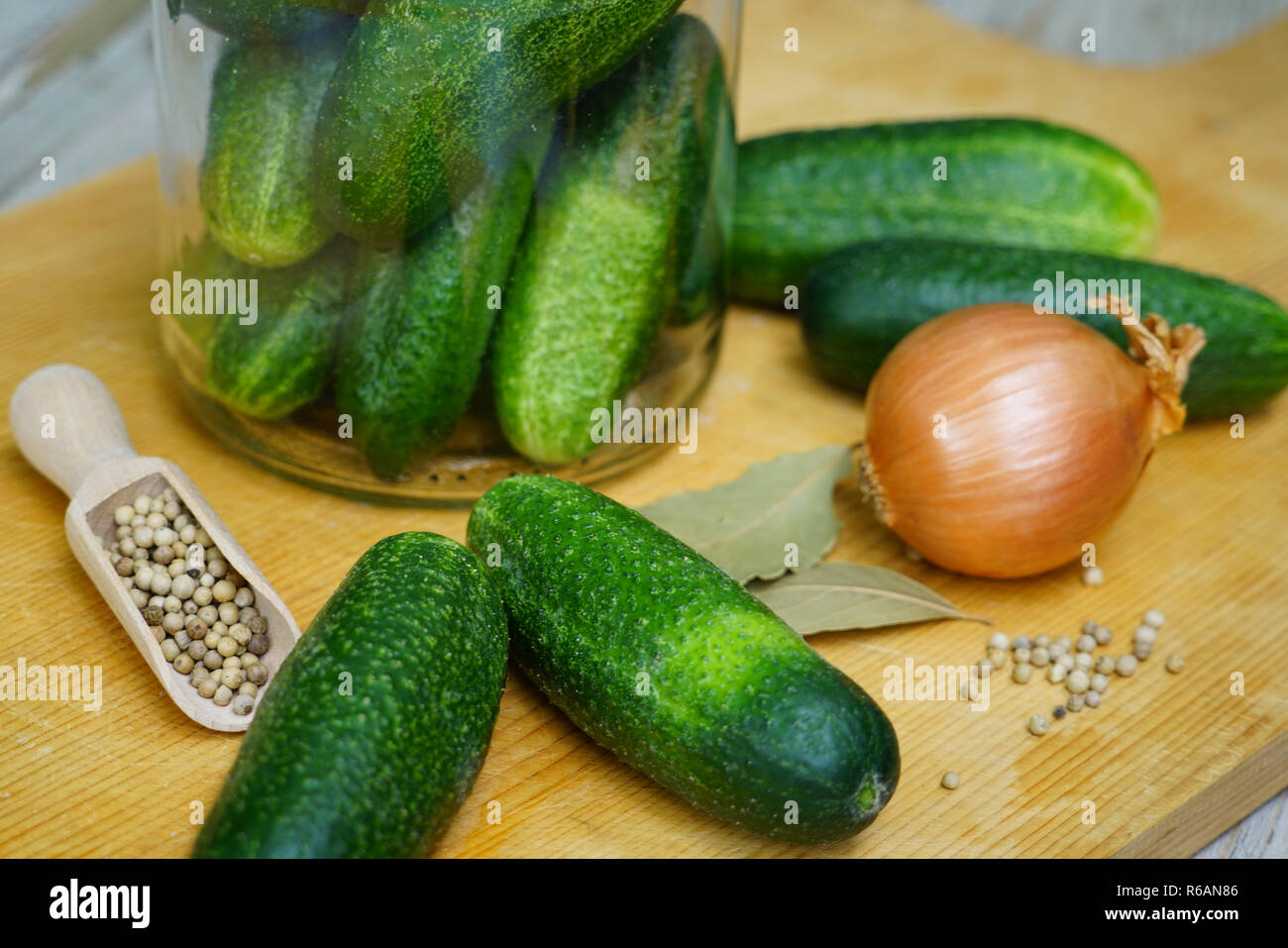 Erhaltung der Gurken Stockfoto