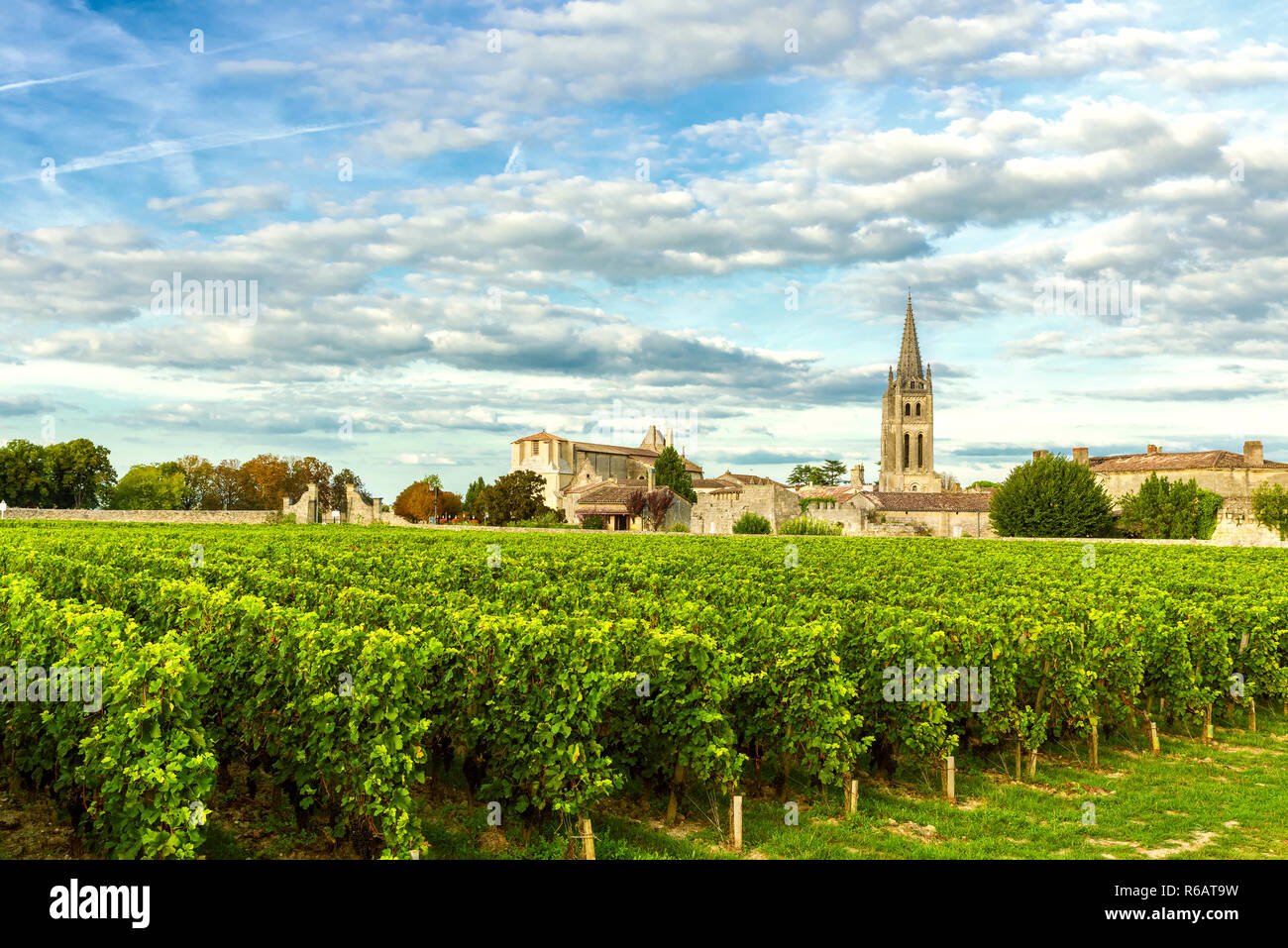Weinbergen von Saint Emilion, Bordeaux Weingüter in Frankreich an einem sonnigen Tag Stockfoto