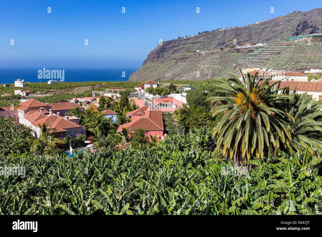 Bananenplantage in Tazacorte auf der kanarischen Insel La Palma Stockfoto