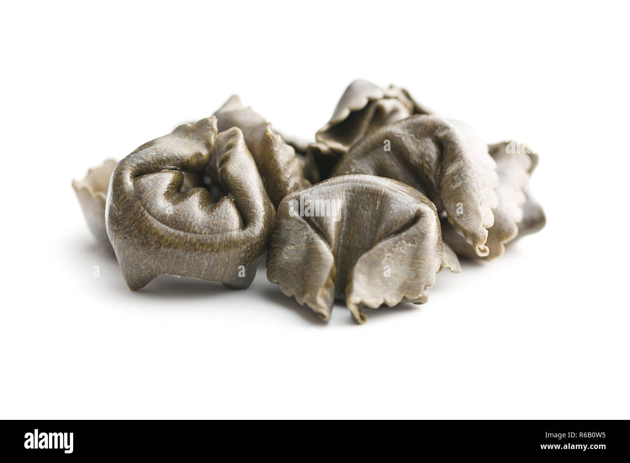 Tintenfisch tortellini Pasta auf weißem Hintergrund. Stockfoto