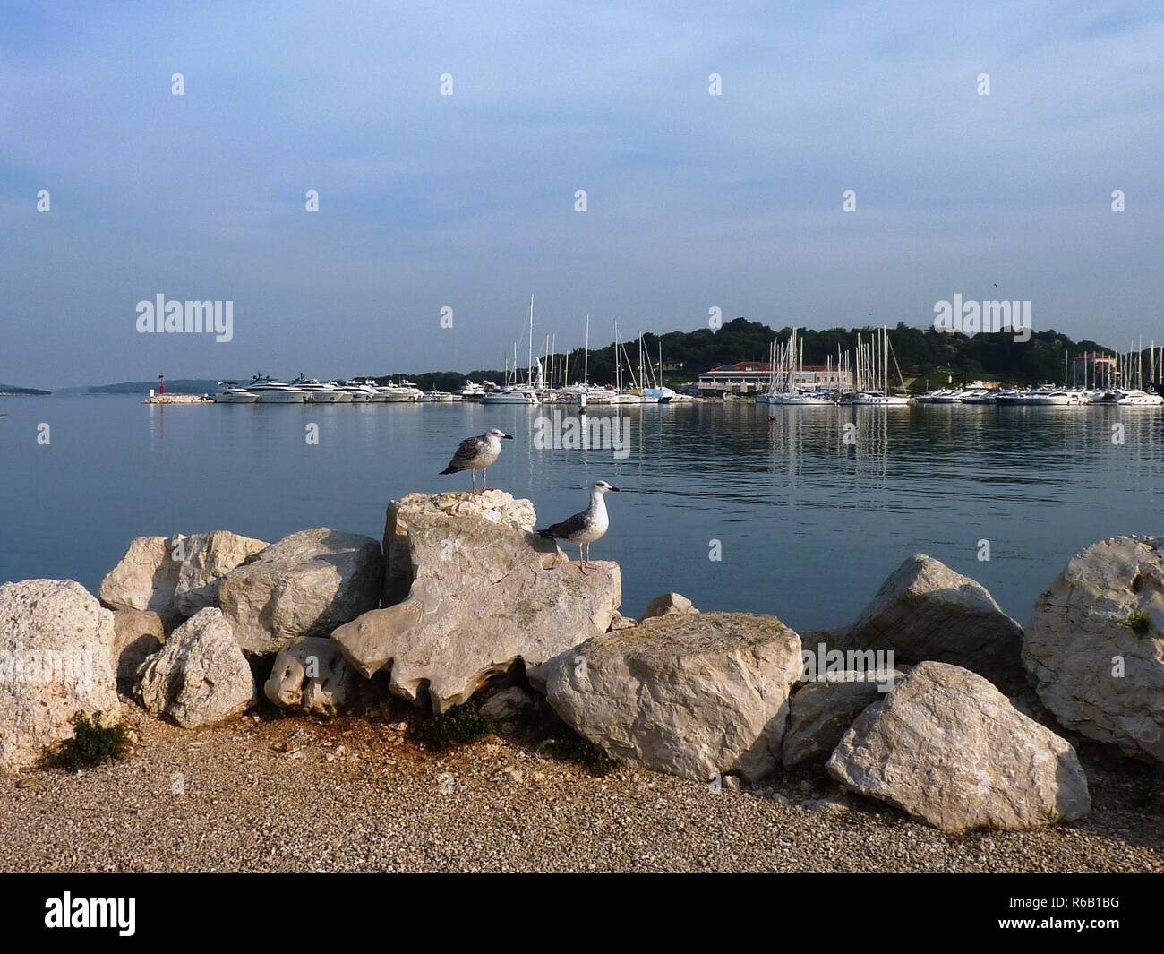 Kunst in Istrien Stockfoto