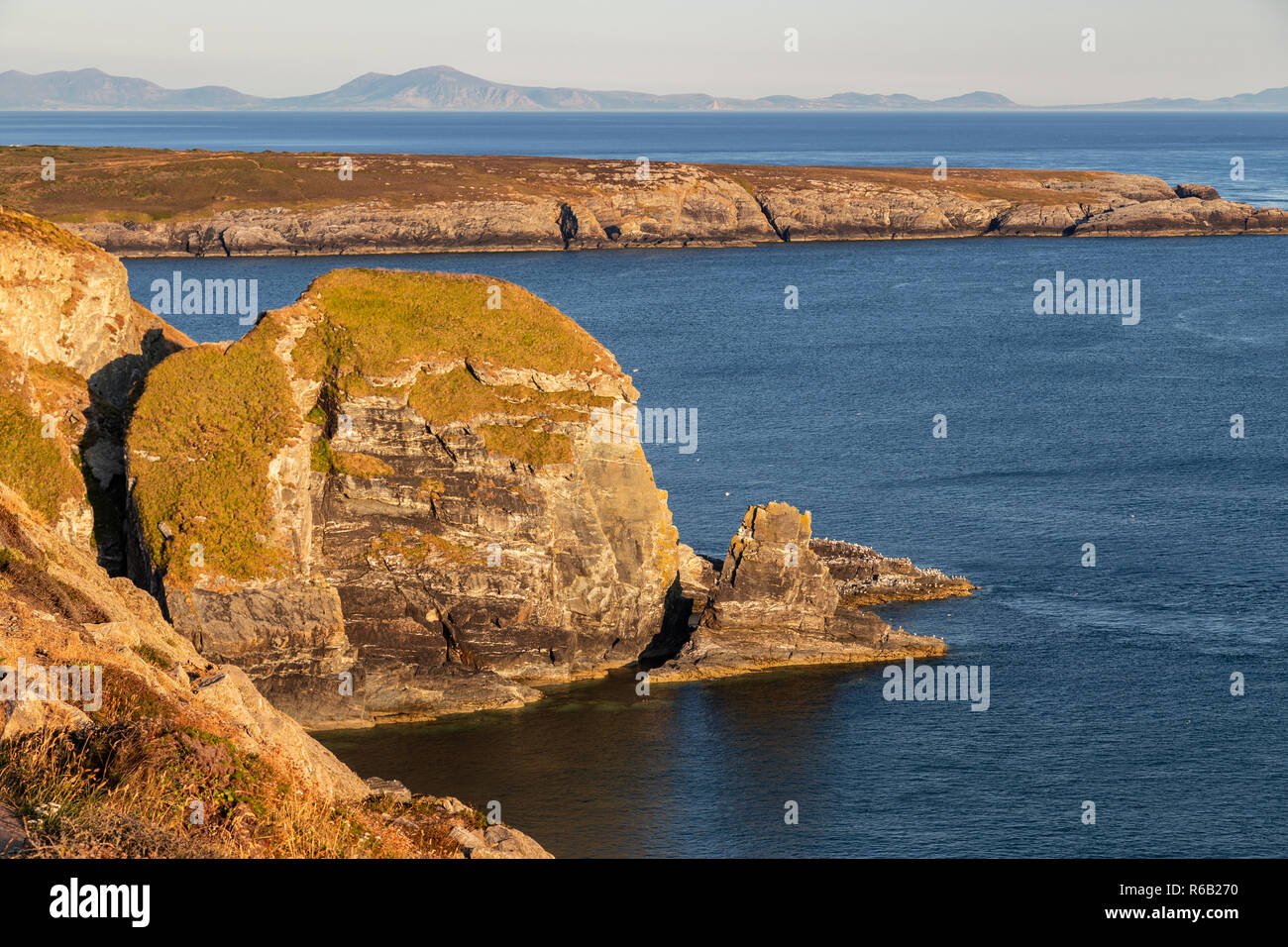 South Stack Klippen beleuchtet durch die untergehende Sonne an der Küste von Anglesey, Nordwales Stockfoto