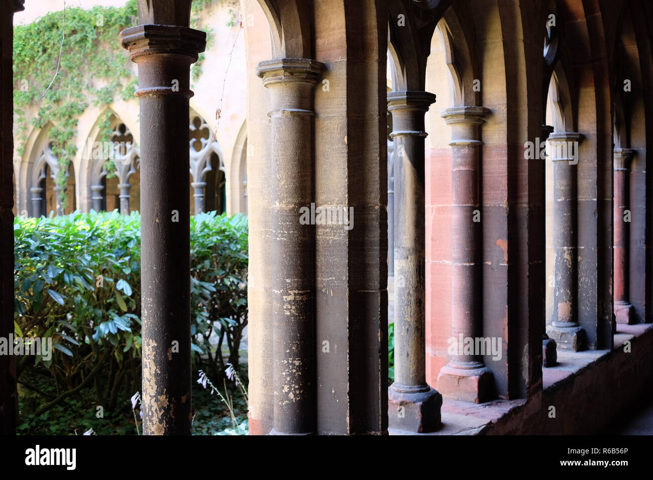 Der UNTERLINDEN. MUSEUM UNTERLINDEN. COLMAR Stockfoto