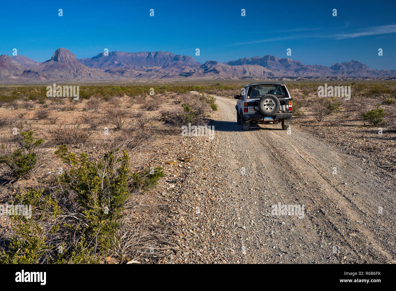 Chisos Mountains, 4WD Fahrzeug auf der Black Gap Road, Chihuahuan Desert, Big Bend National Park, Texas, USA Stockfoto