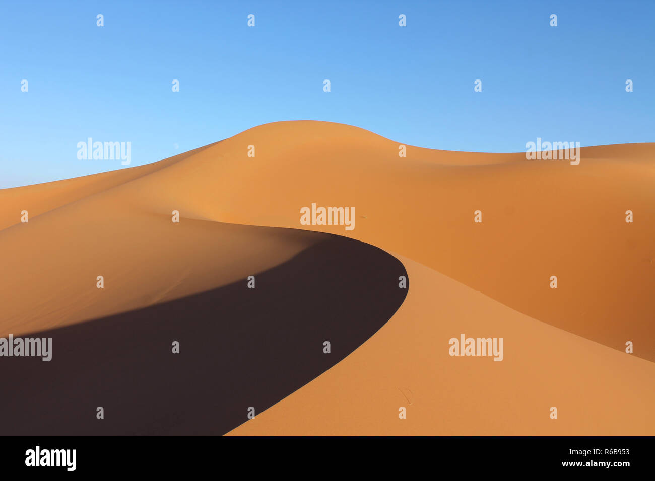 Sahara Sand dune mit perfekt geschwungenen Grat Stockfoto