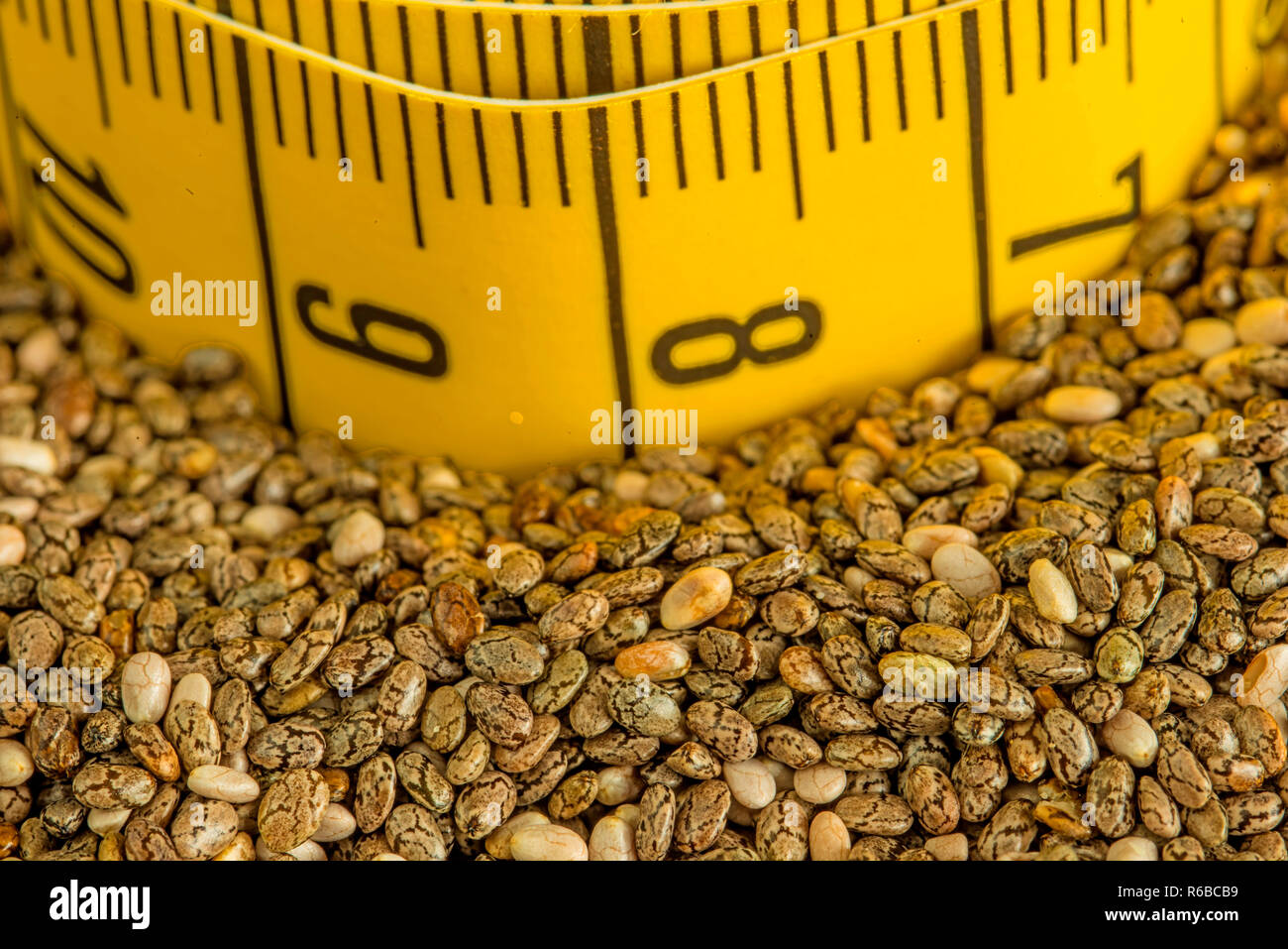 Chia Samen, Salvia Hispanica, für Ernährung Stockfoto