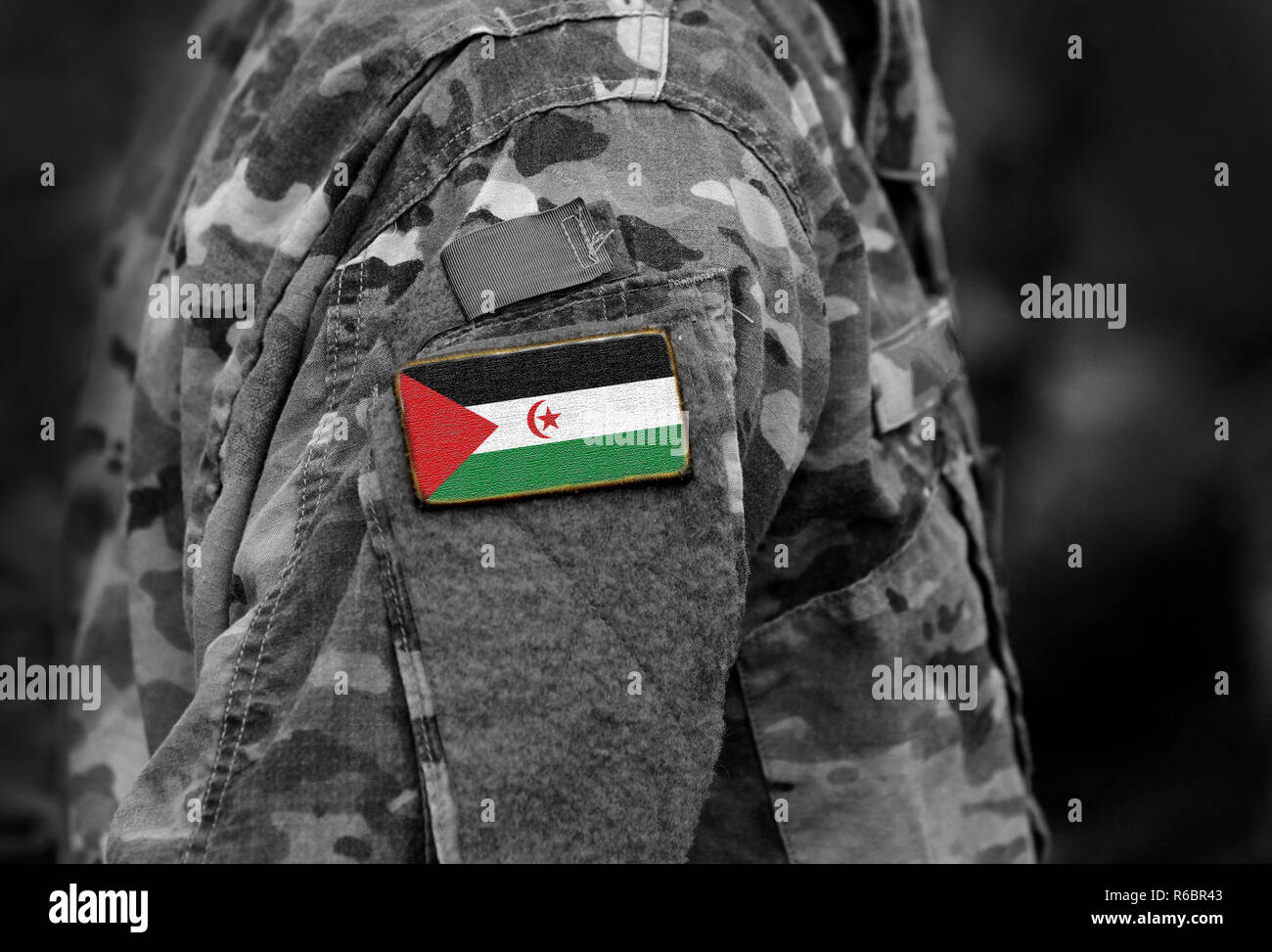 Arabische saharauische Demokratische Republik Flagge auf Soldaten arm. Arabische saharauische Demokratische Republik Flagge auf der Uniform. Armee, Soldaten, Afrika (Collage). Stockfoto