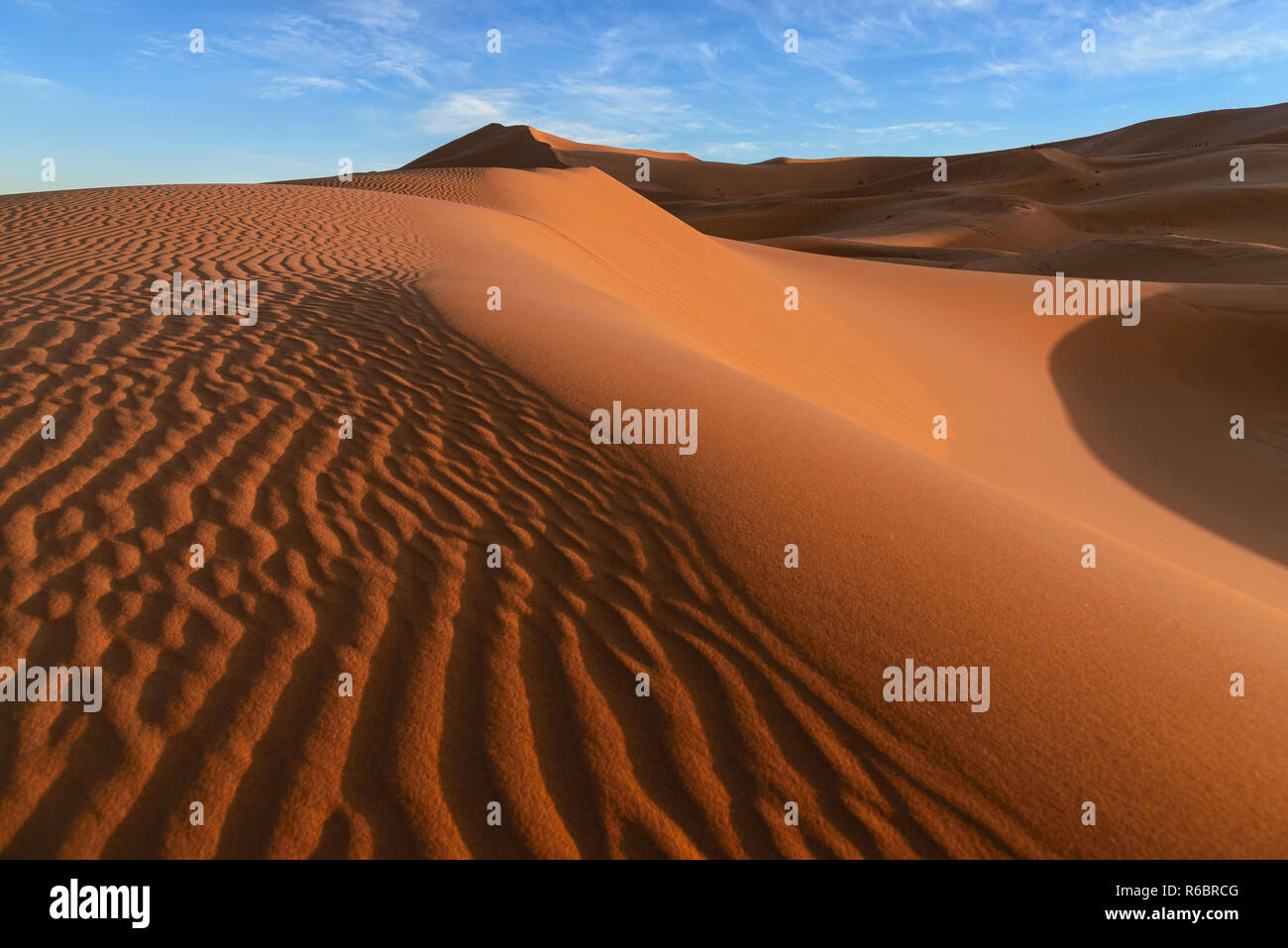 Die Dünen des Erg Chebbi in Marokko. Ergs sind große Meere der Dünen vom Wind geformt - durchgebrannt Sand Stockfoto
