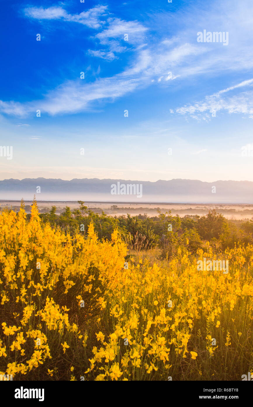 Kroatien, Dalmatien, Velebit ridge und nebligen Felder im Vordergrund, Sommer morgen Stockfoto