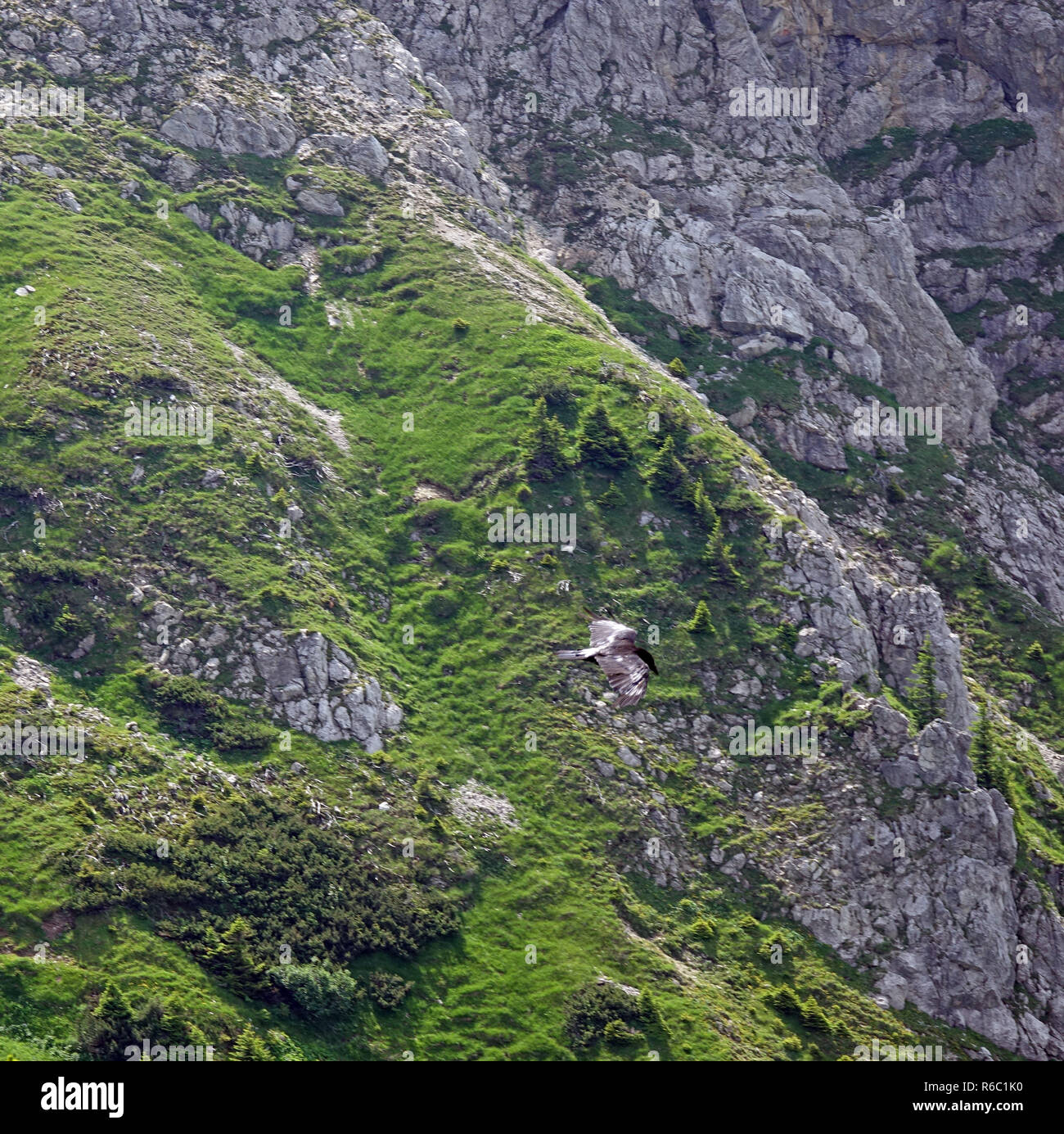 Fussener jochle -Fotos und -Bildmaterial in hoher Auflösung – Alamy