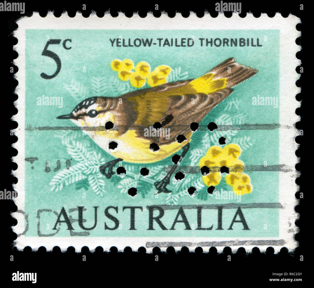 Briefmarke aus Australien, die in der Vogelschutz Serie 1966 ausgestellt Stockfoto