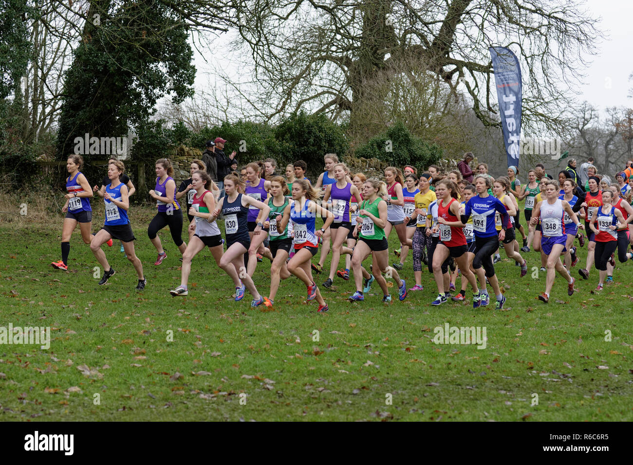 Der Beginn der weiblichen seniors Cross Country Rennen in Cirencester Park in der Grafschaft Oxfordshire Cross Country Liga Stockfoto