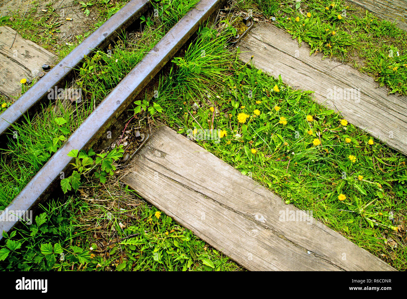 Schienen aus Um mit Blumen Stockfoto