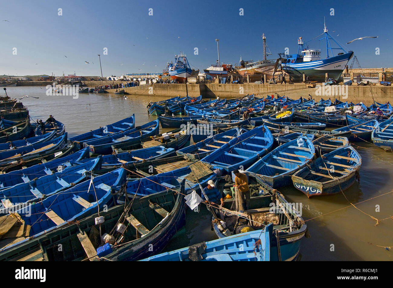 Afrika, Marokko, Essaouira, den Hafen und die Fischerboote Stockfoto