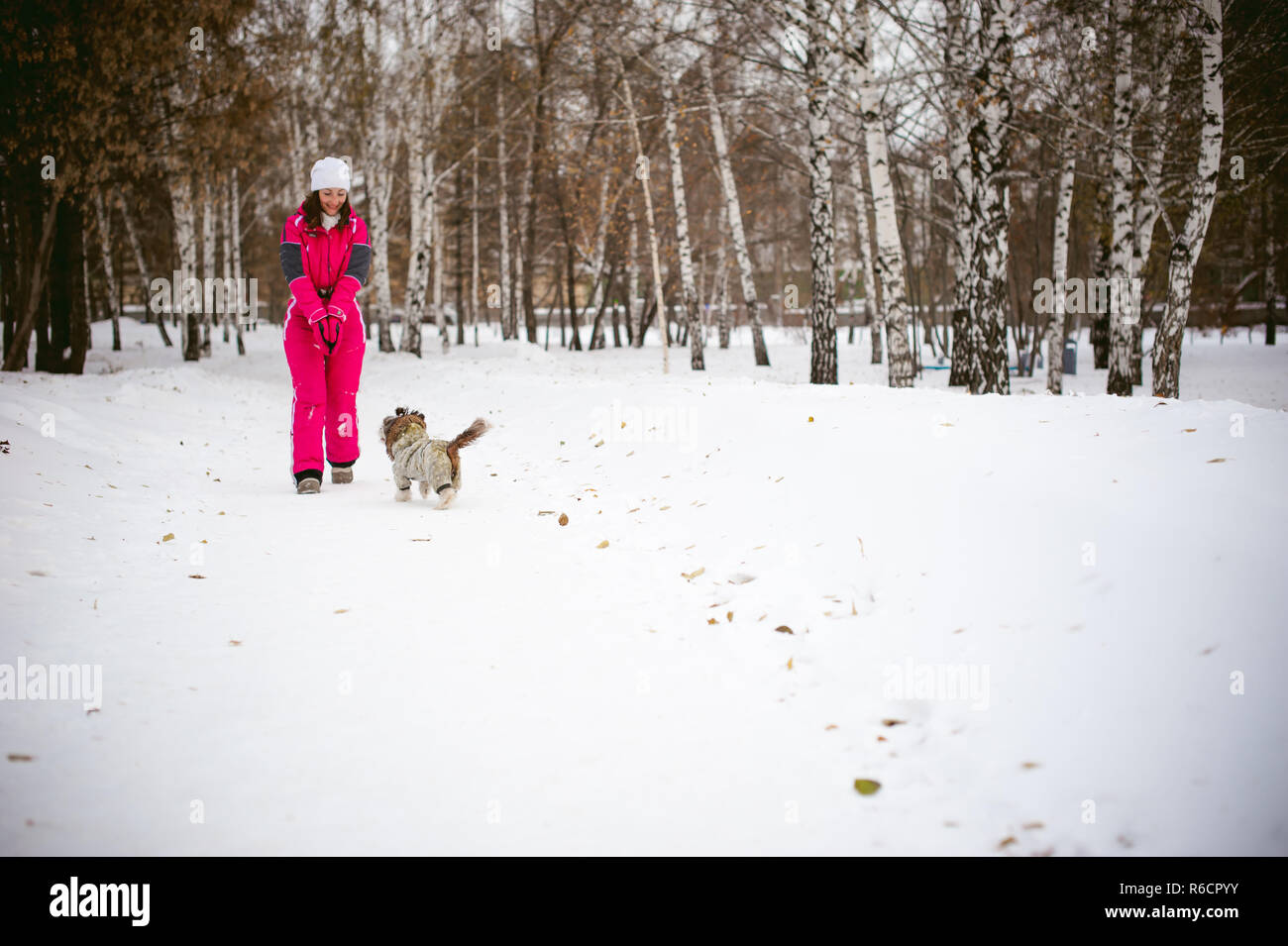 Spaziergang im Winter im Freien mit Hund Rasse Shih Tzu. Eine Frau in leuchtend roten warme Skibekleidung Wandern im Schnee mit Ihrem Haustier, kleine Shih Tzu in Overalls gekleidet. Pflege für Tiere liebt das Spiel mit dem Hund Stockfoto