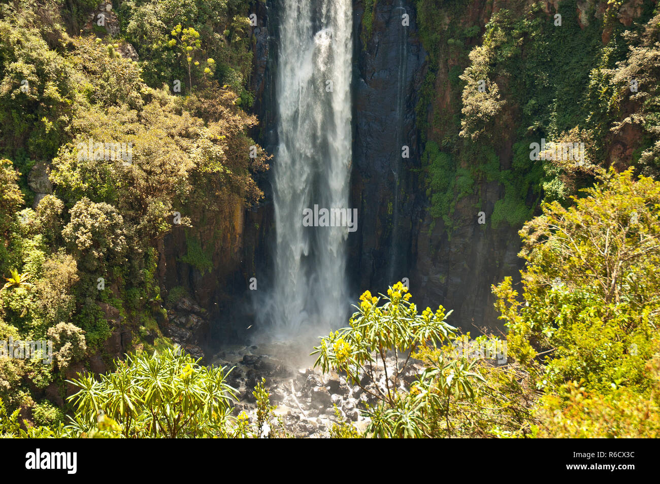 Thomson'S fällt in Kenia Afrika Stockfoto