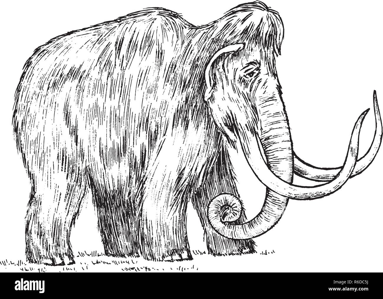 Große Mammut. Ausgestorbene Tier. Vorfahren der Elefanten. Vintage Style. Graviert hand gezeichnete Skizze. Vector Illustration Stock Vektor