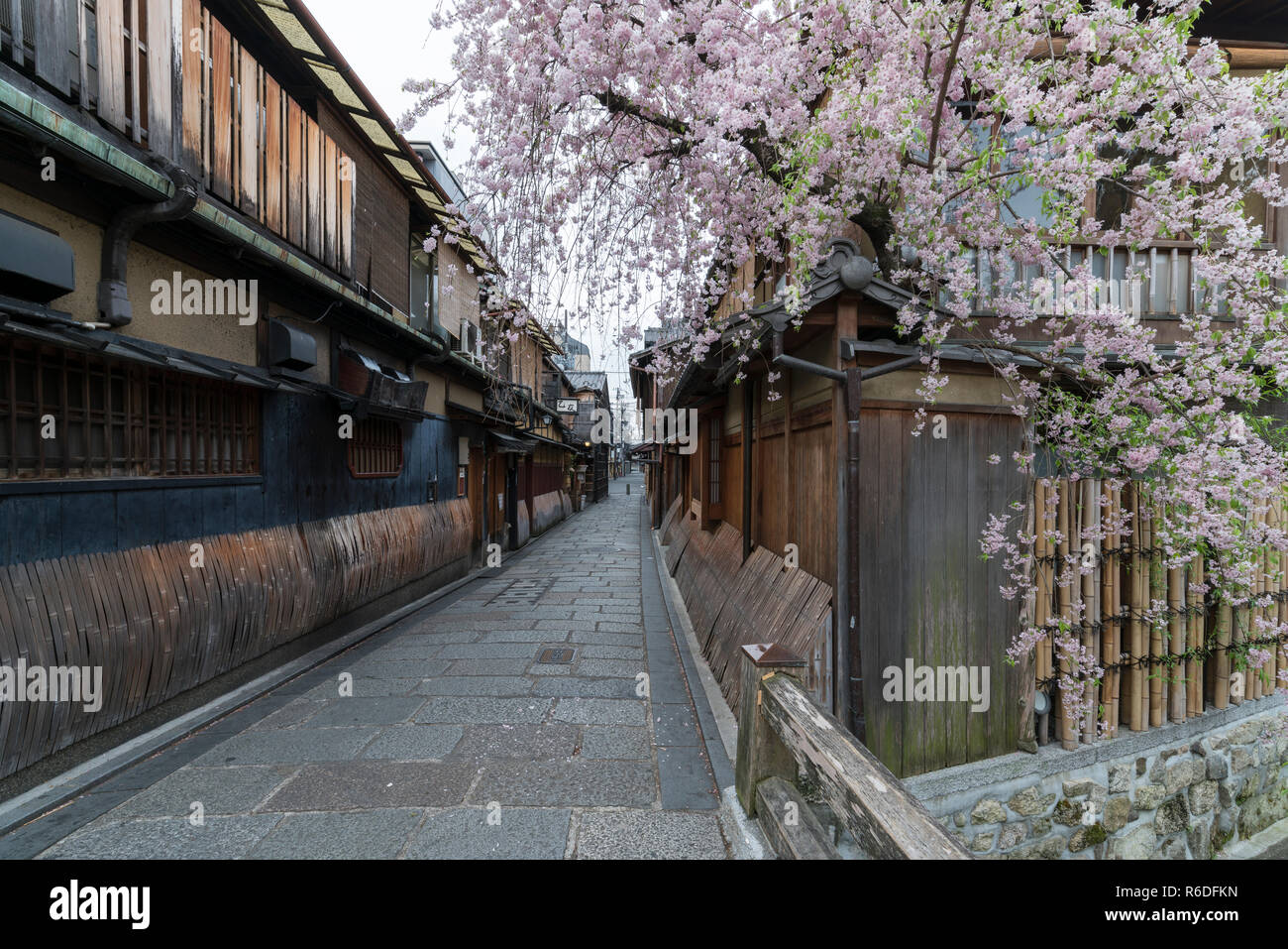 Eine Straße im Stadtteil Gion von Kyoto während Kirsche Blütezeit, Japan Stockfoto