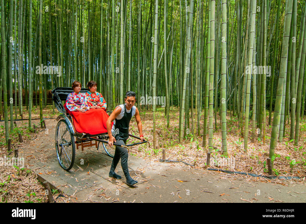 Zwei junge Geisha Frauen durch einen Bambuswald von Ricksha, Kyoto, Kansai Region, Japan gezogen wird. Stockfoto