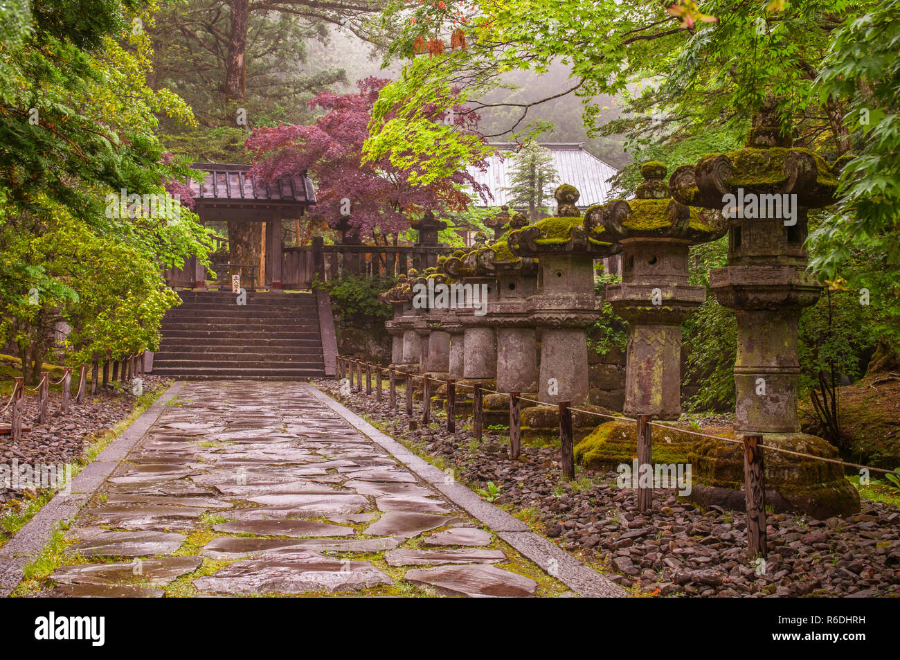 Steinlaternen auf der Seite der Toshogu Schrein, die dazu führen, dass der Weg zum Heiligtum Futarasan in Nikko, Tochigi, Japan Stockfoto