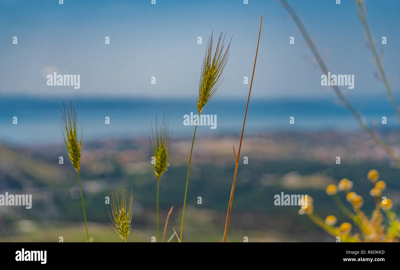 Festung Klis in der Nähe von Split - Kroatien Stockfoto