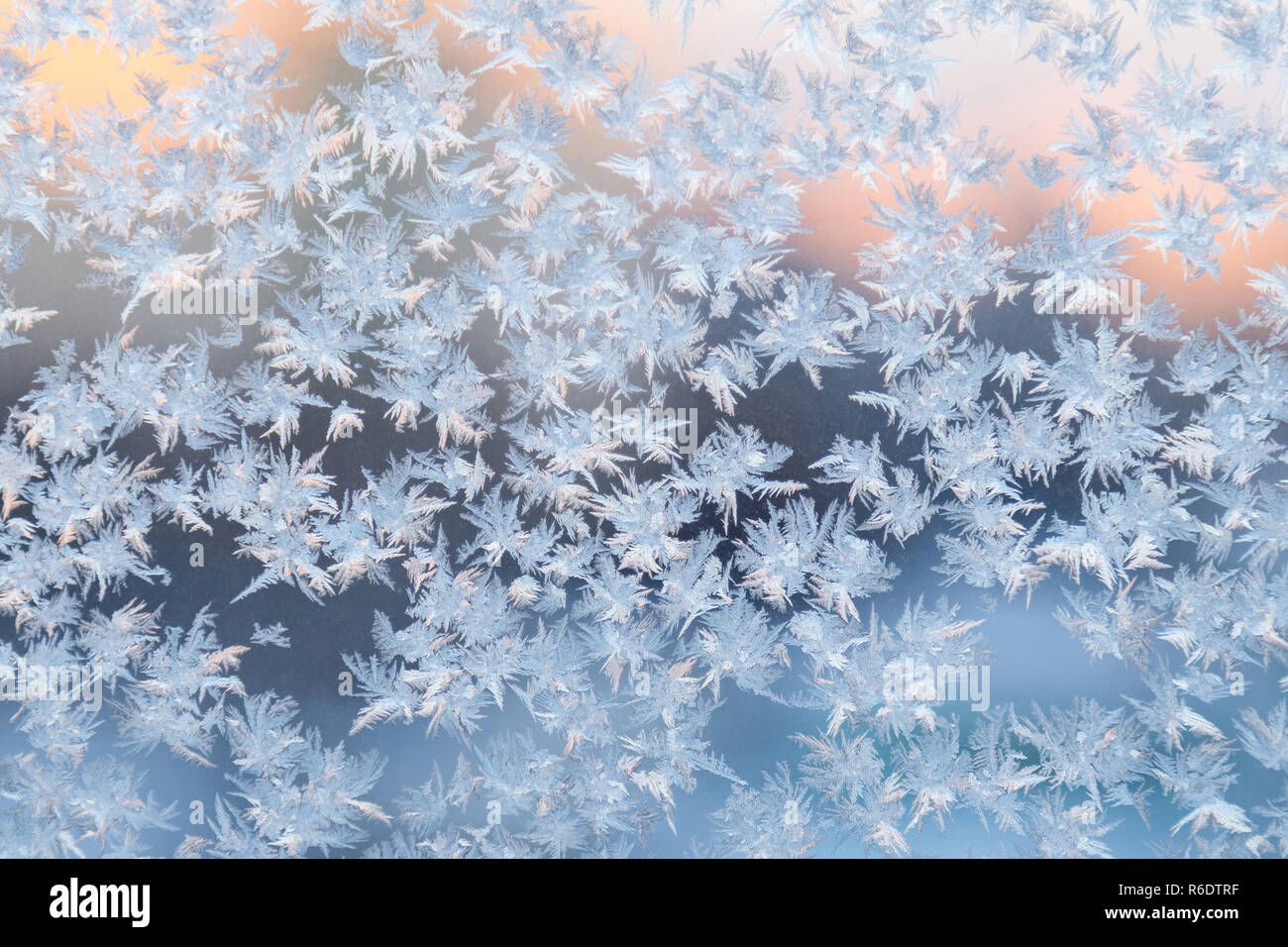 Gefrorene Schneeflocken am Fenster. Winter Hintergrund