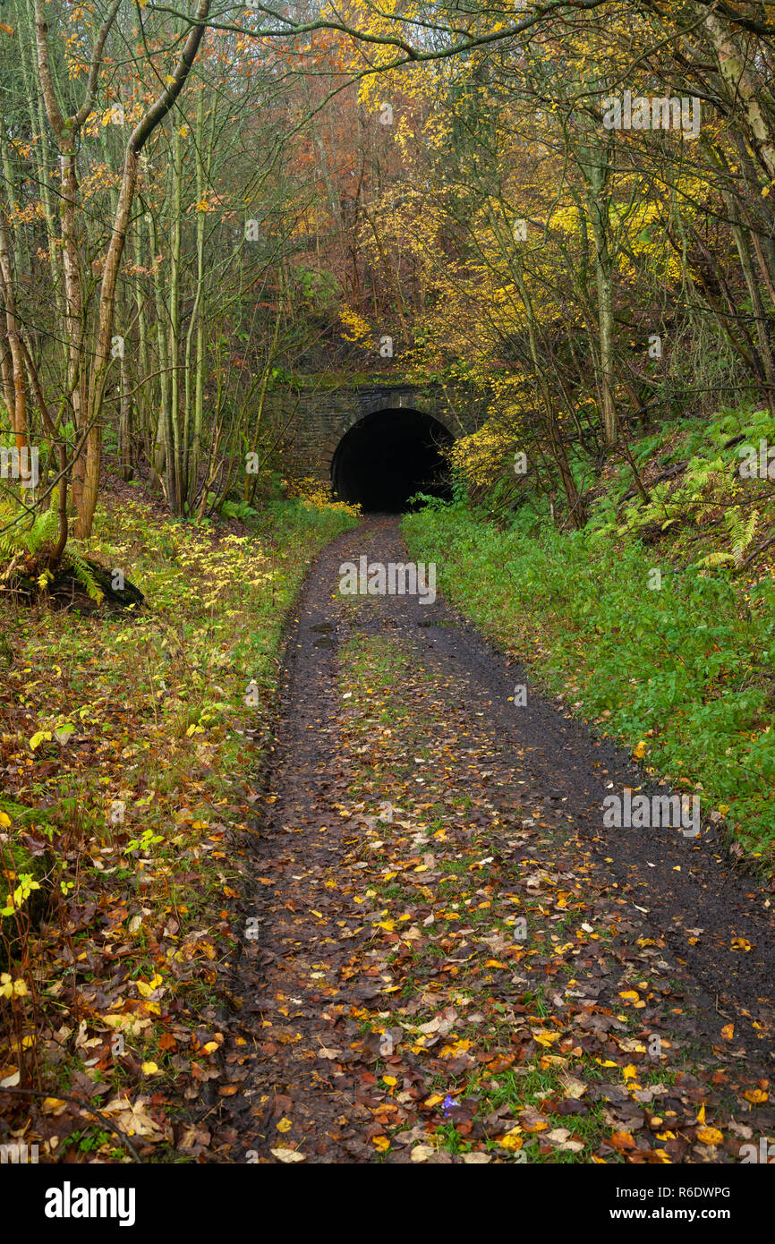 Ein Spaziergang durch die stillgelegte Glenfarg Eisenbahntunnel in Perth und Kinross Schottland. Stockfoto