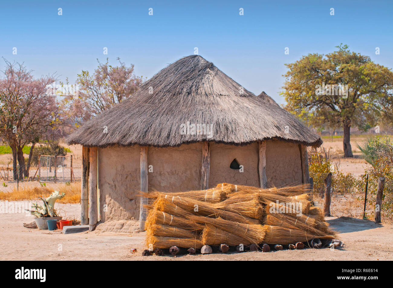 Typische Thatched-Roof Afrikanischen runde Hütte in Botsuana Stockfoto