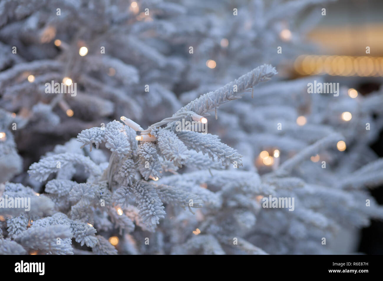 Im freien Weihnachtsbaum Stockfoto