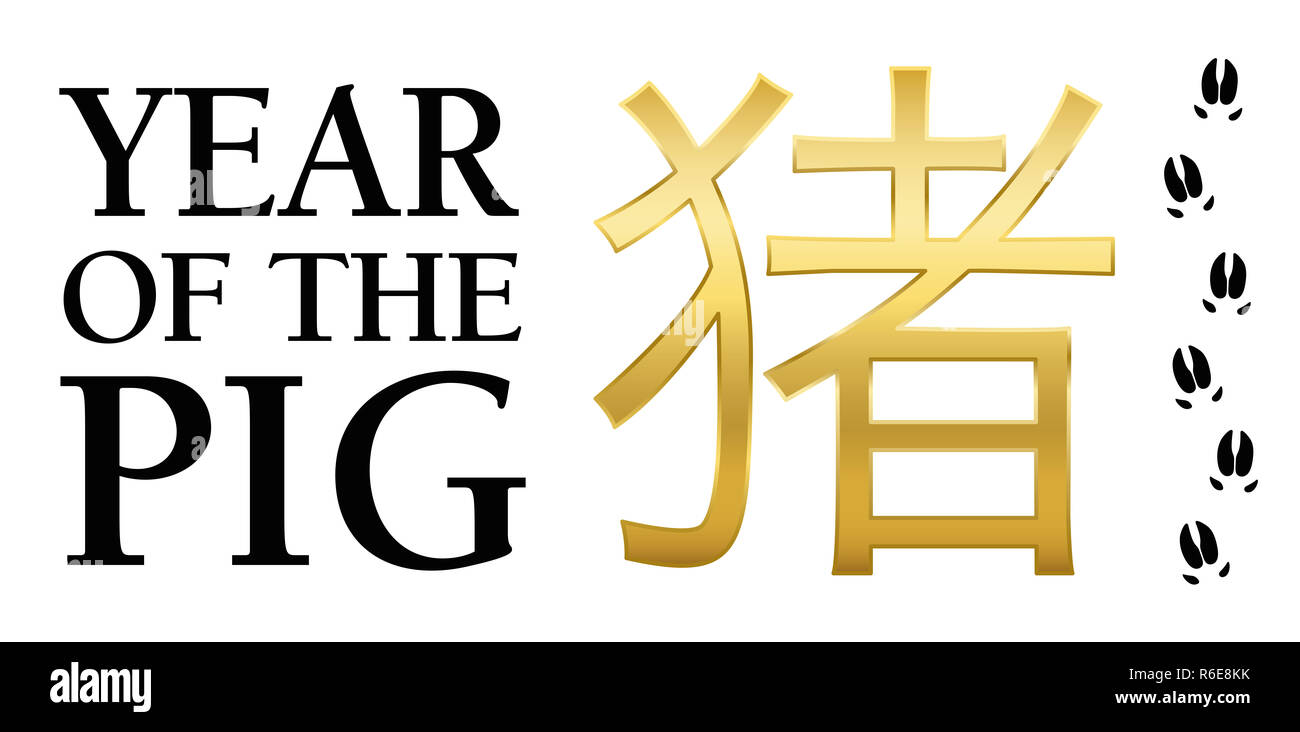 Jahr des Schweins mit goldenen chinesische Symbol Bedeutung Schwein und mit Schwein Titel - Abbildung auf weißem Hintergrund. Stockfoto