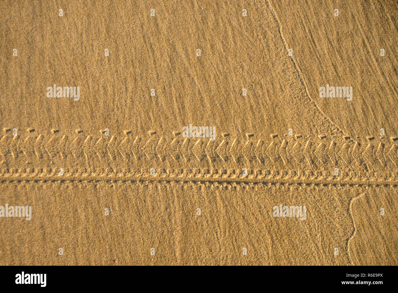 Radwege im Sand Stockfoto