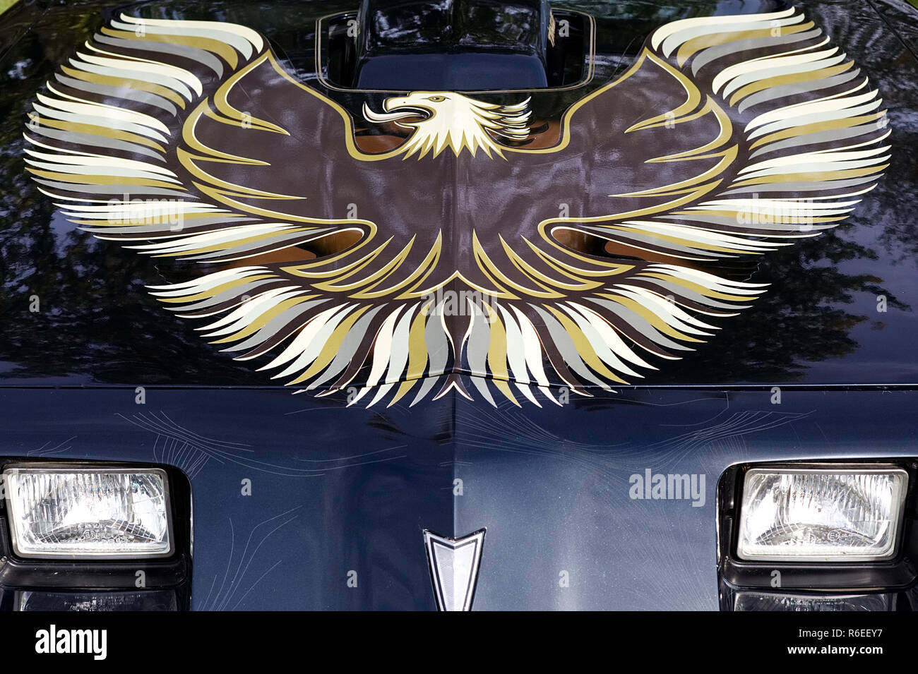 1979 Pontiac Firebird Trans AM, Stockfoto