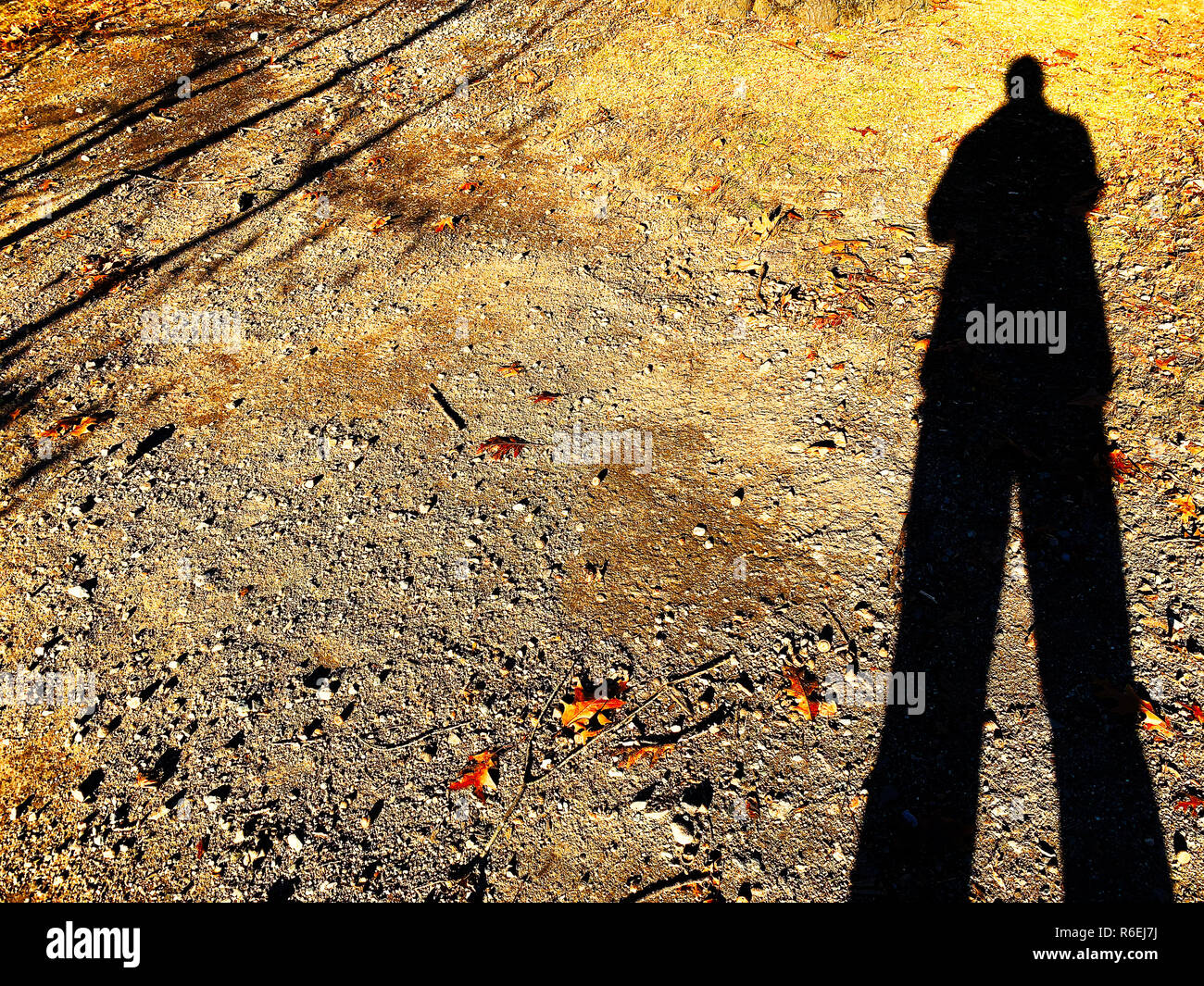 Schatten eines Menschen auf trockenen Boden Stockfoto