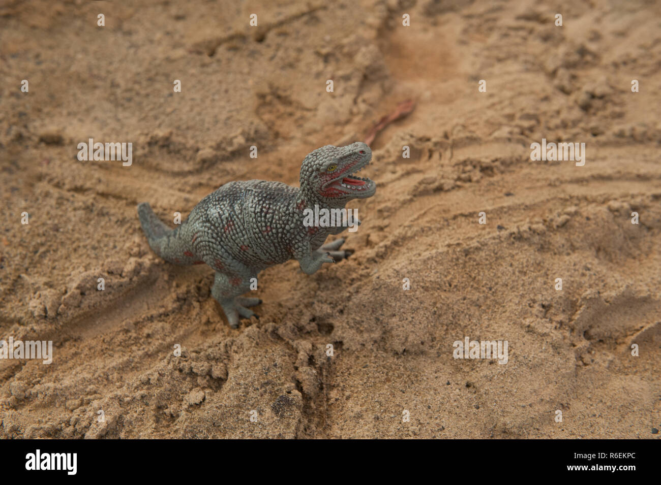 Ein Dinosaurier Spielzeug auf dem Sand Stockfoto