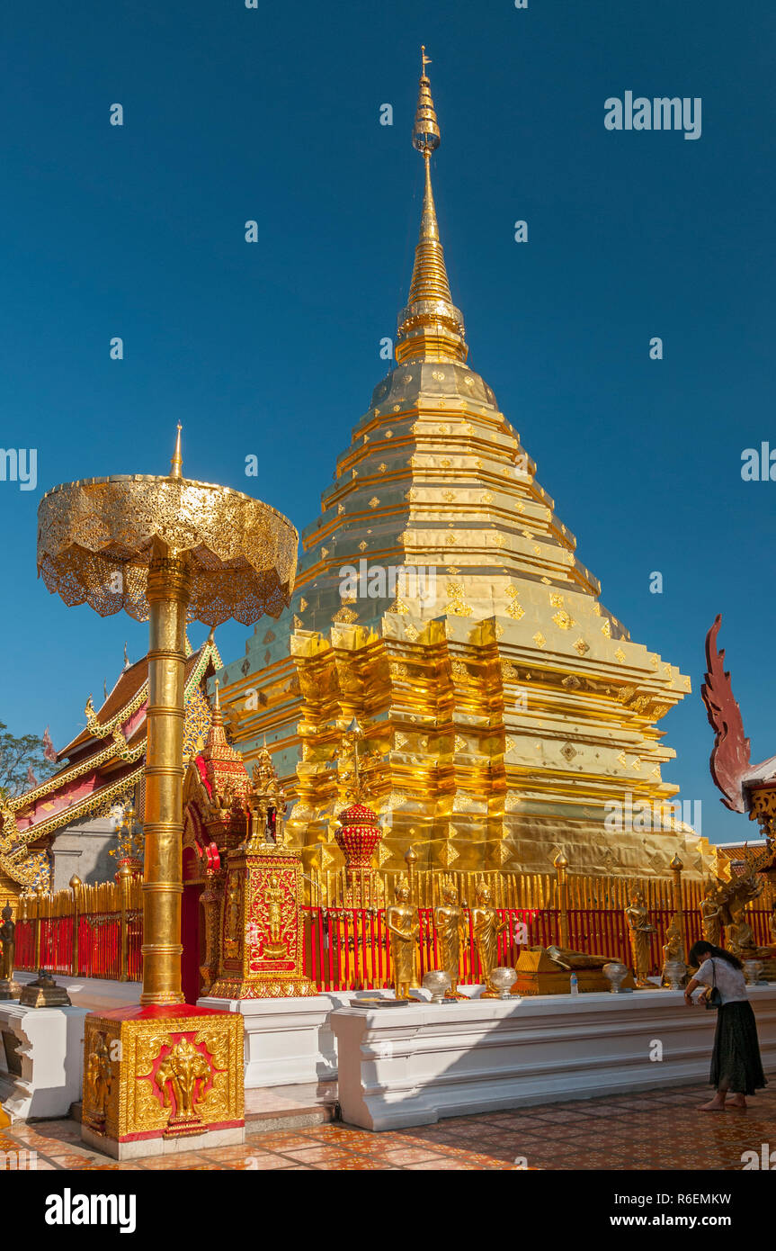 Goldenen Chedi (Stupa) und Regenschirm in Wat Phra That Doi Suthep Tempel, Chiang Mai, Thailand Stockfoto