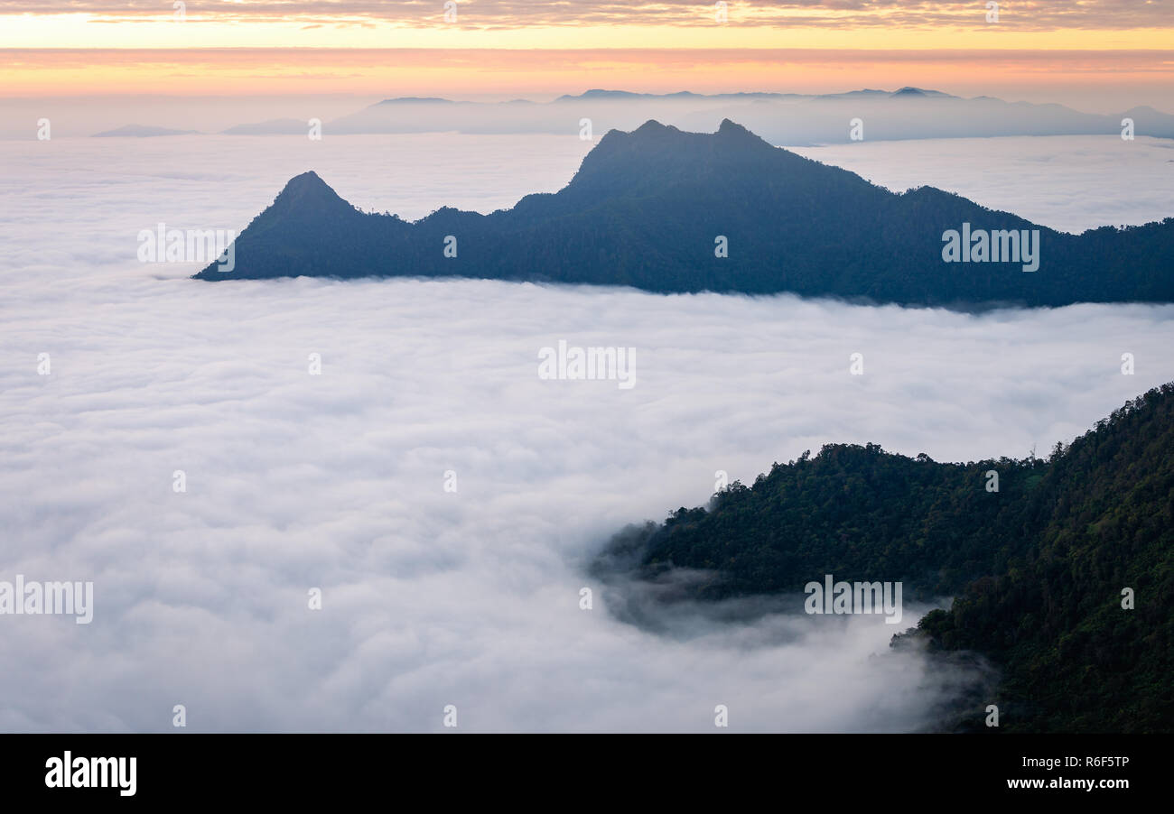 Antenne morgen Blick auf die weißen Nebel decken alle Bereich der Berge und Hügel von Phu Chi Fa tropischen Wald in Chiangrai, Thailand. Stockfoto