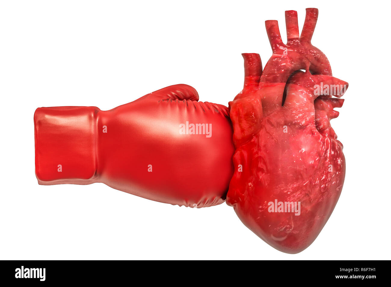 Schmerzen im Herzen, Herzkrankheit Konzept. Das menschliche Herz mit Boxhandschuh. 3D-Rendering auf weißem Hintergrund Stockfoto