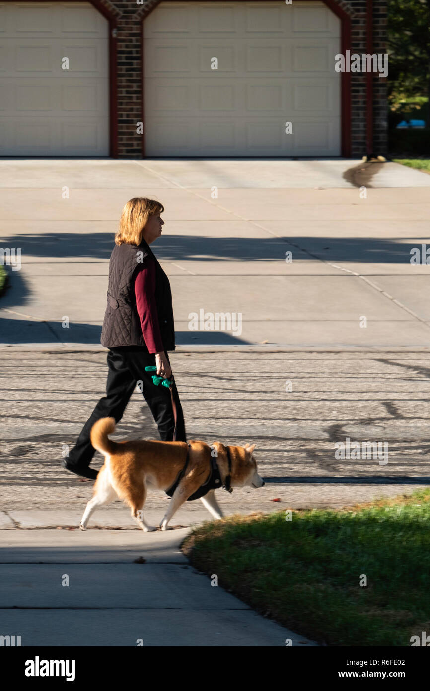 Eine Erwachsene Kaukasierin mittleren Alters, die bei Herbstwetter mit einem Hund auf einer Nachbarschaftsstraße herumläuft. USA. Stockfoto