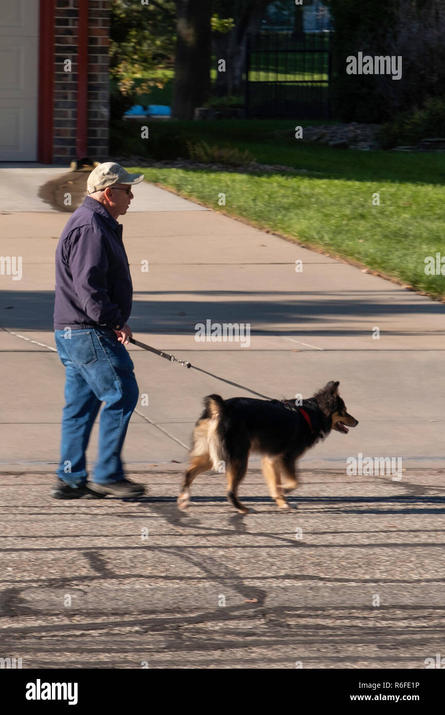 Ein erwachsener Weißer, der bei Herbstwetter mit einem Hund auf einer Nachbarschaftsstraße läuft. USA. Stockfoto