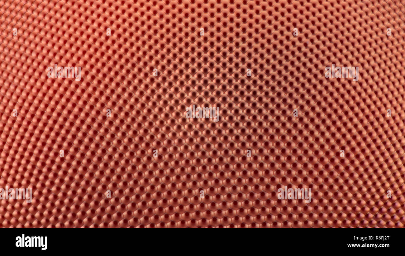 Extreme Vergrößerung-Compound eye Textur unter dem Mikroskop Stockfoto