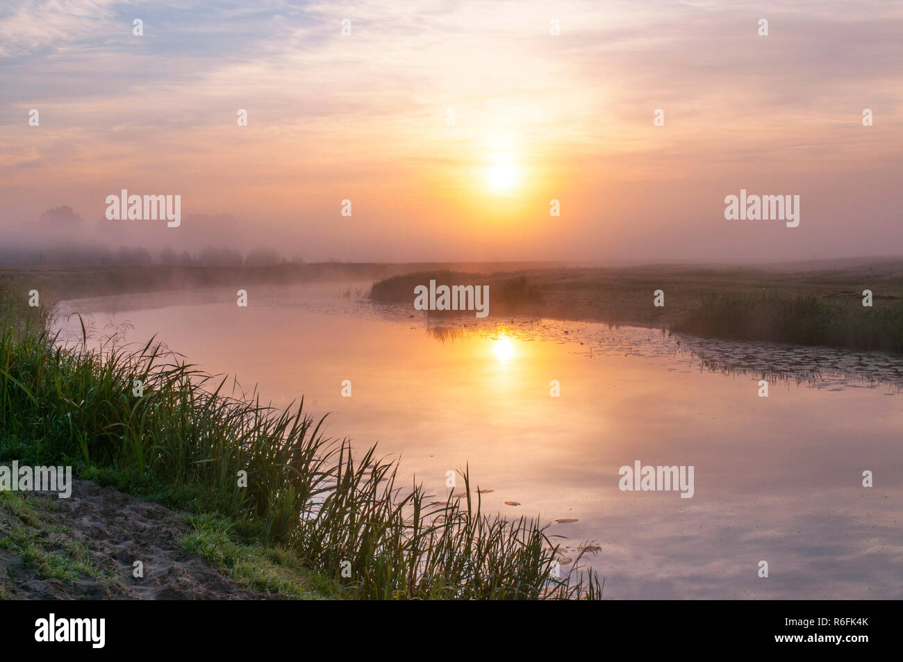 Sunrise Landschaft In Biebrza Nationalpark, Polen Stockfoto