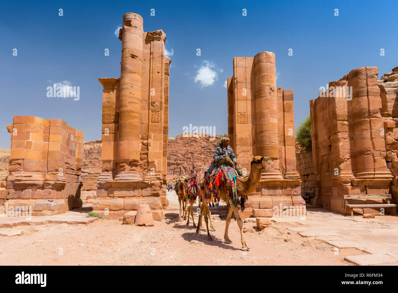 Kamele Kreuzung Themenos Tor und Colonnaded Straße in Petra, Jordanien Stockfoto