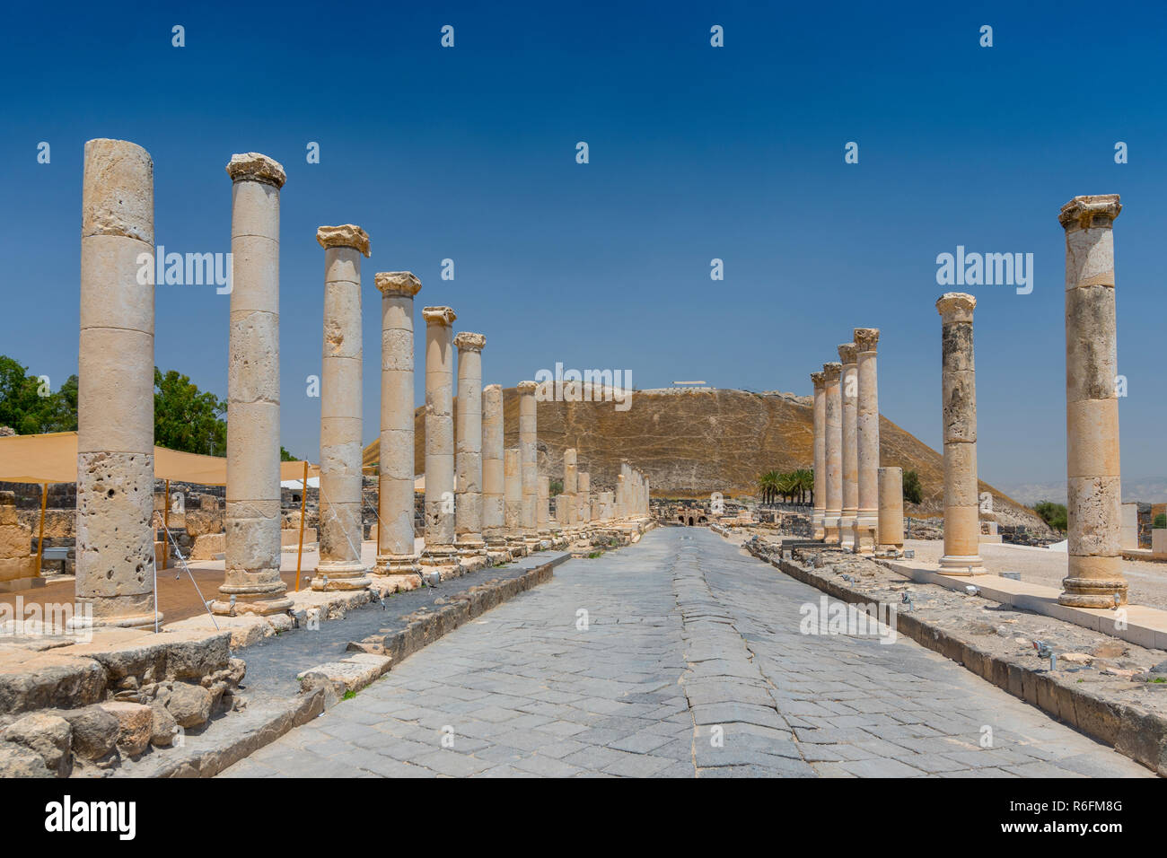 Ruinen der römischen byzantinische Stadt Scythopolis, Tel Beit Shean Nationalpark, Israel Stockfoto