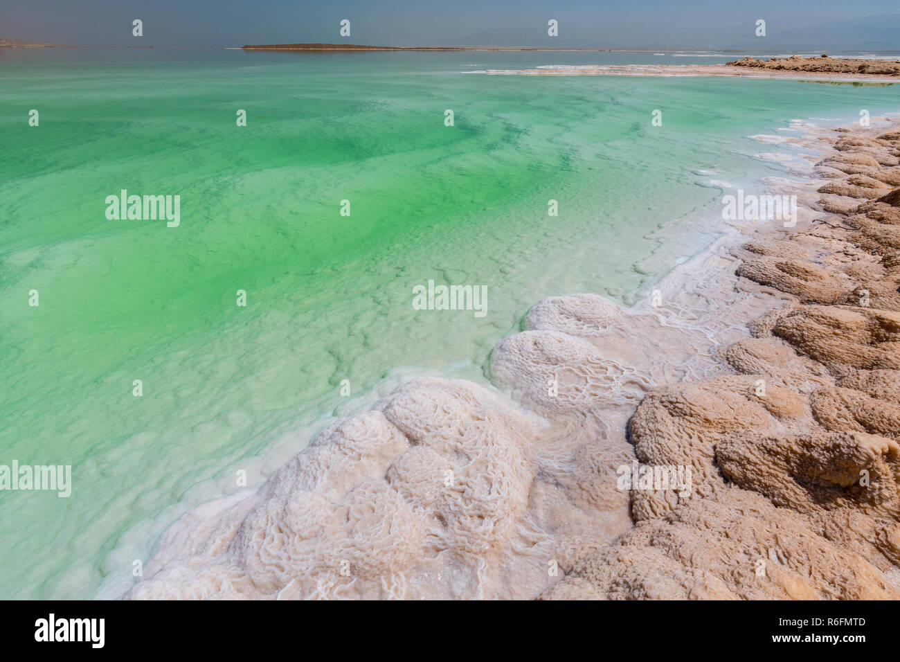 Kristallines Salz Abdeckung der Strand von Toten Meer in Israel Stockfoto