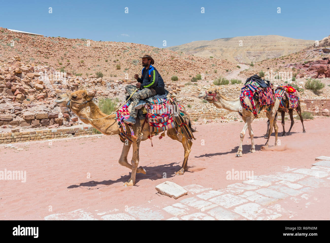 Bedouin Männer mit ihren Kamelen, Petra, Jordanien Stockfoto