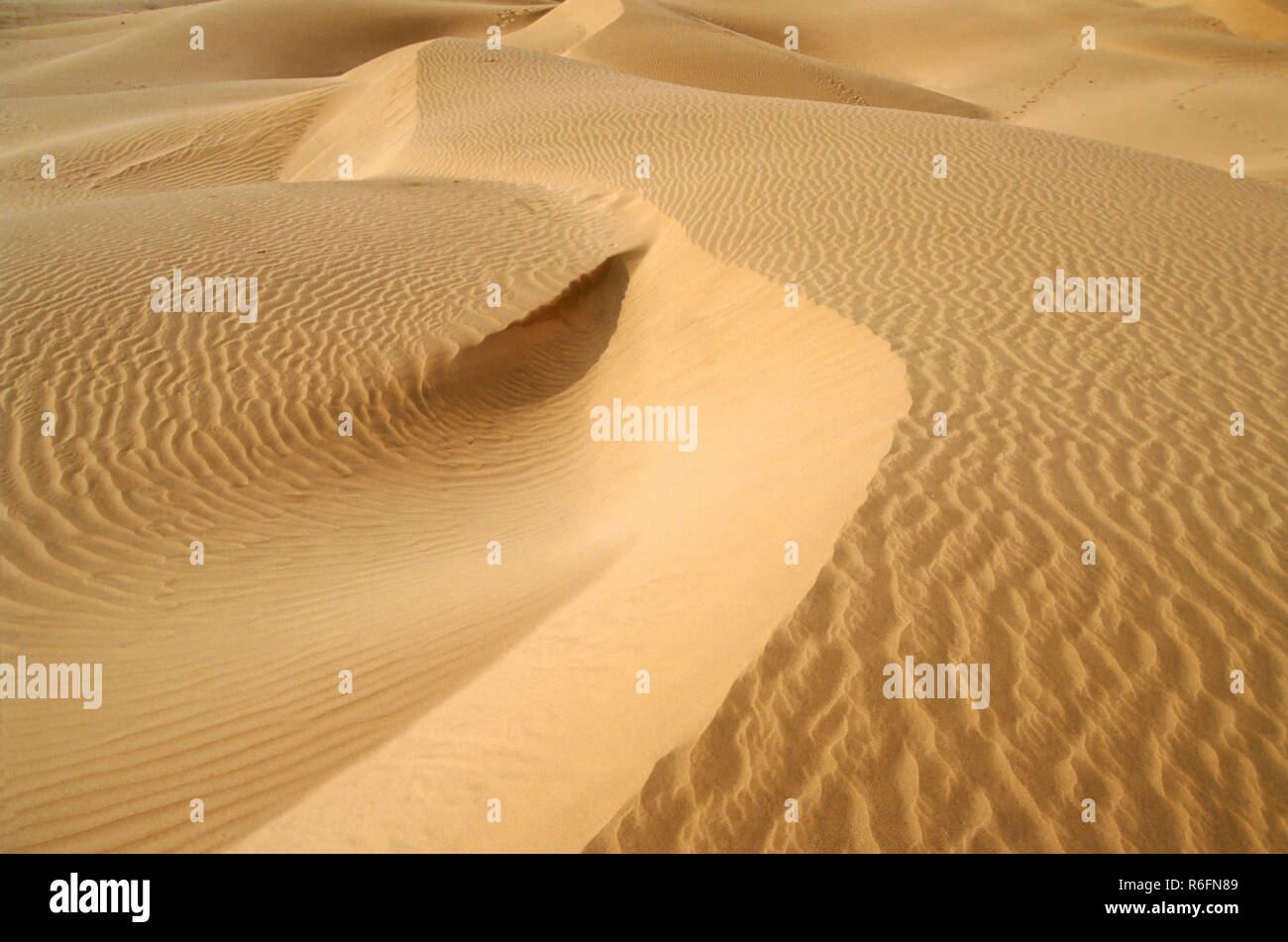 Sand, Dünen, Khudi, Jaisalmer, Rajasthan, Indien Stockfoto