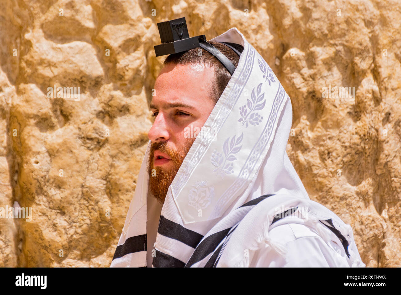 Ultra-orthodoxe Juden aufgewickelt mit traditionellen religiösen Talit Schal und Tefillin Gebetsriemen im Gebet in der westlichen Wand Altstadt, Ost-jerusalem, ist Stockfoto