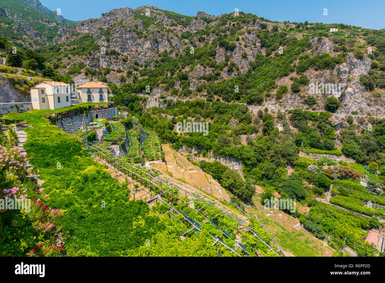Kleinen Weinberg in der Nähe der Stadt Ravello an der Amalfiküste in Italien Stockfoto
