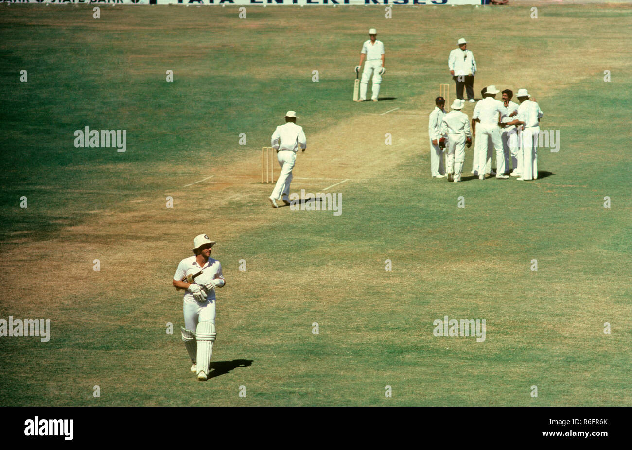 Spieler feiern Wicket auf Stadion Stockfoto