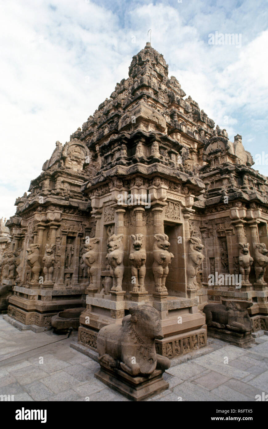 Kailasanatha Tempel, Kanchipuram, Kanchi, Kancheepuram, tamil nadu, indien, Asien Stockfoto